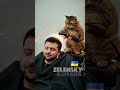 🇺🇦 &quot;Cat Opens Salon for President?! 😂 | Funny Cat Haircut!&quot;#shorts #cat #funny #viralshorts #memes