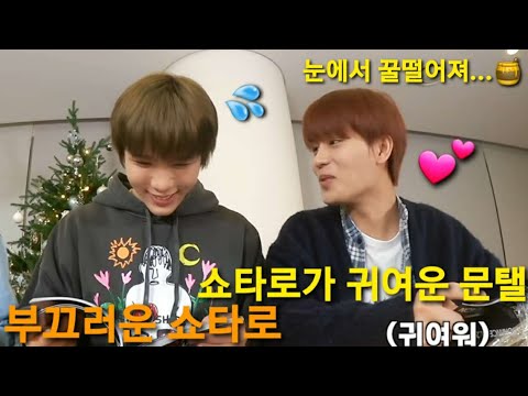 [NCT: 쇼타로 태일] 쇼타로가 귀여운 문태일...(양봉업자)