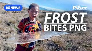 Drought, Hunger, Frost: inside PNG's El Niño Crisis | The Pacific Drought, Hunger, Frost: inside PNG's El Niño Crisis | The Pacific