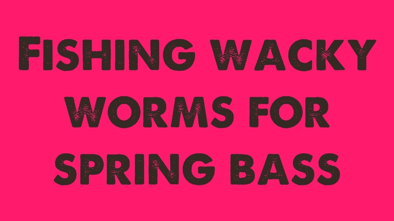 Fishing Wacky worms for springtime bass 