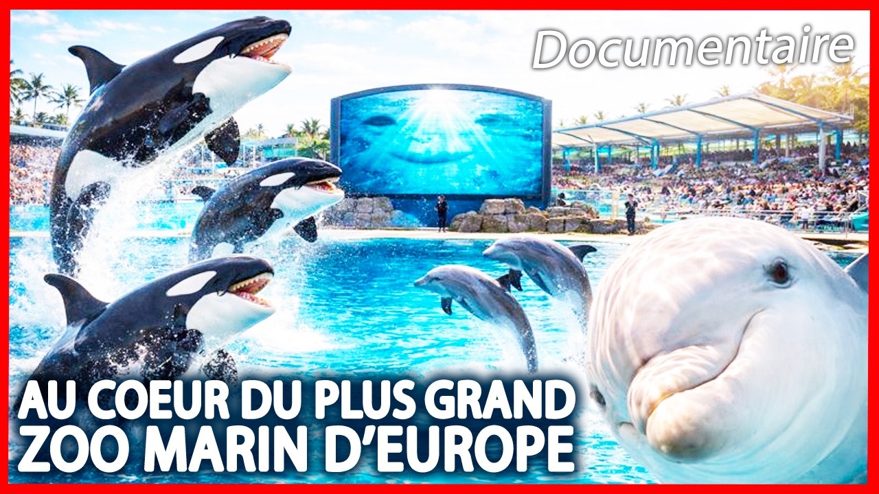 Marineland : au cœur du plus grand Zoo marin d'Europe – Documentaire complet