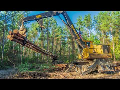 Cutting Edge Logging | South West Louisiana Forestry Machines Working