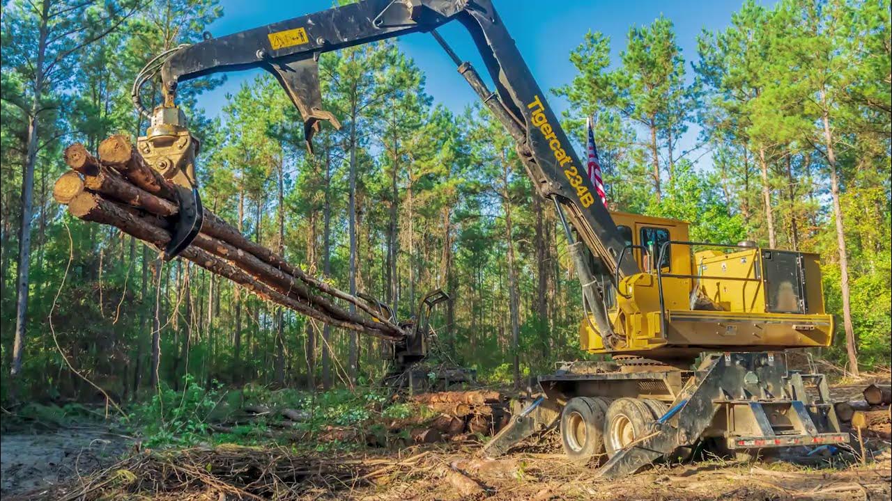 Cutting Edge Logging South West Louisiana Forestry Machines Working
