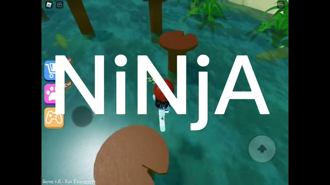 I Want to be ninja YouTube