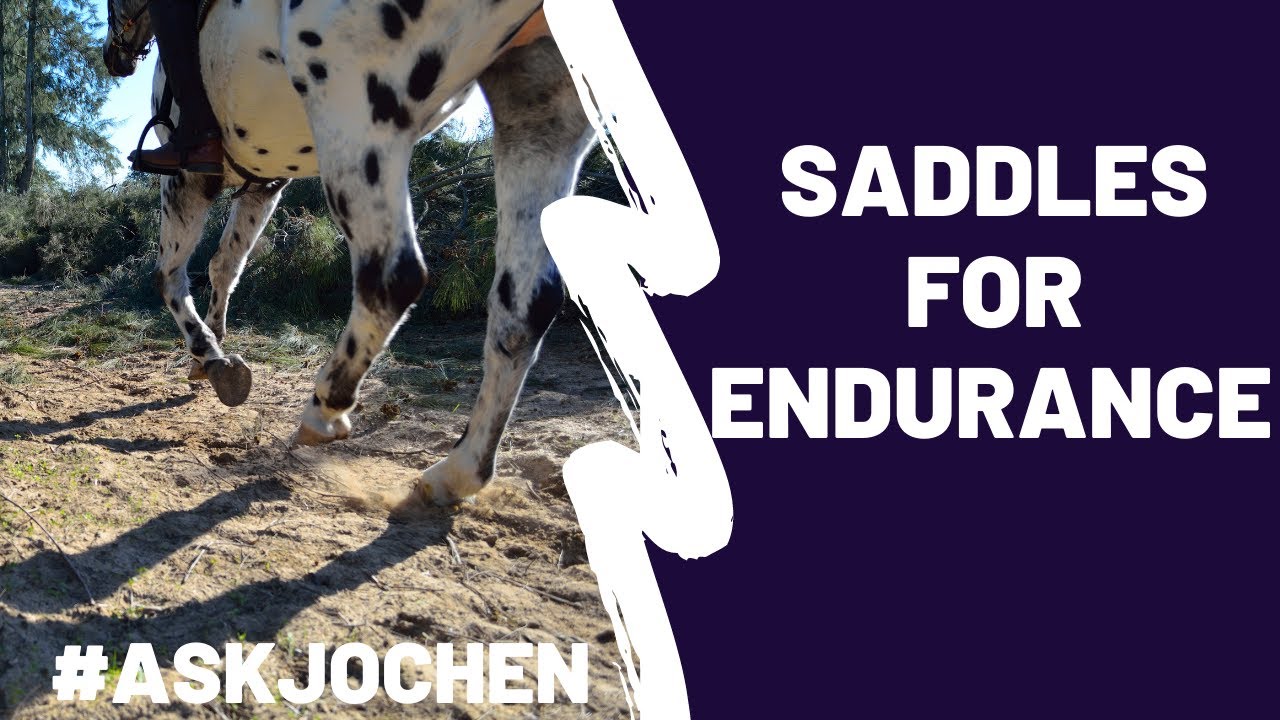 Saddles for Endurance | #ASKJochen | Livestream Q&A Excerpt - YouTube