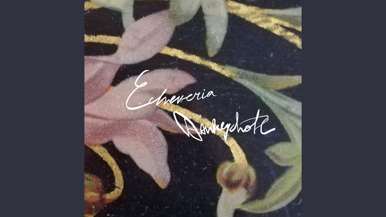 Watch Echeveria on YouTube Watch Echeveria on YouTube
