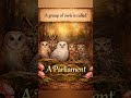 Group Of Owls Is Called #parliament #wildlife #wildlifefacts #nature