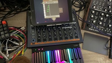 LoopBud Bluetooth Capabilities - App Store Review Team POC Demo