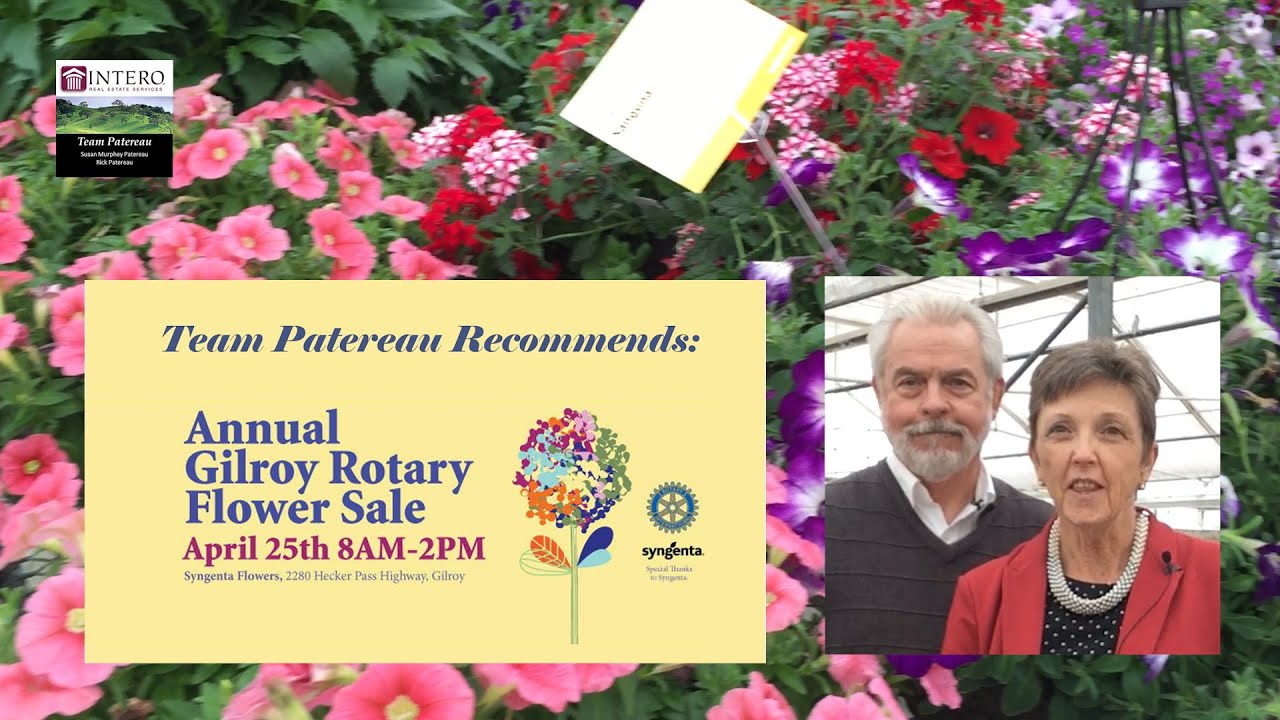 Gilroy Rotary Flower Sale YouTube