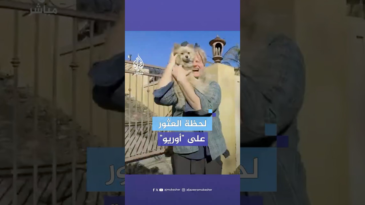 فقده أثناء عمليات الإخلاء.. أمريكي يعثر على كلبه "أوريو" بعد 5 أيام من البحث في ظل حرائق لوس أنجلوس