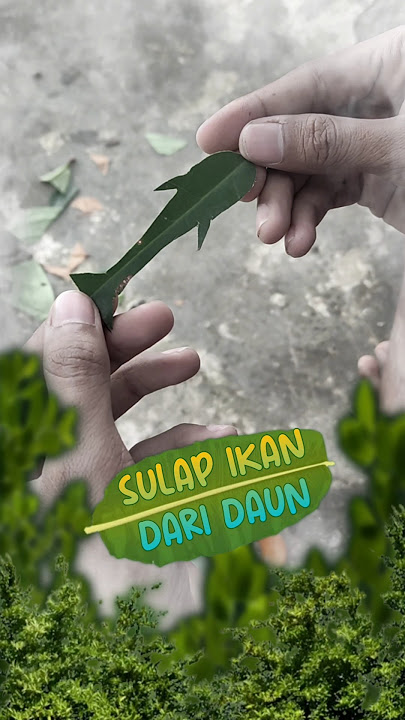 INI DAUN DI TIUP JADI IKAN