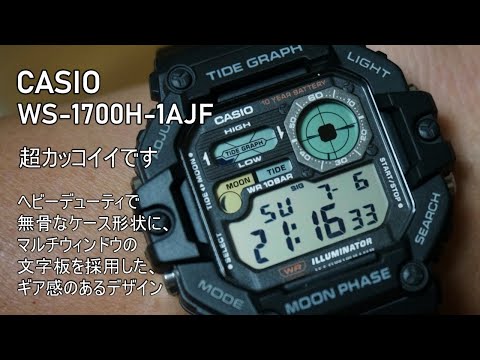 こたろうウォッチちゃんねる - YouTube