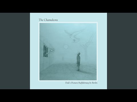 The Chameleons – Dali's Picture/Live In Berlin – 2 x CD