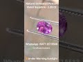💎 Natural Unheated Pinkish-Violet Sapphire – 1.35 ct #gemstone #sapphire #purplesapphire