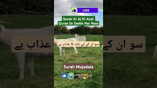 Surah Mujadala #quranictranslation #allah #Quran