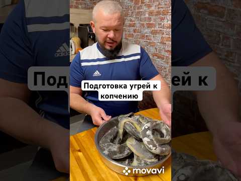 Подготовка угрей к копчению собственного улова #копчение #бородатаягермания