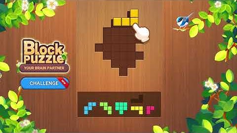 Funny Wood Block Puzzle Game