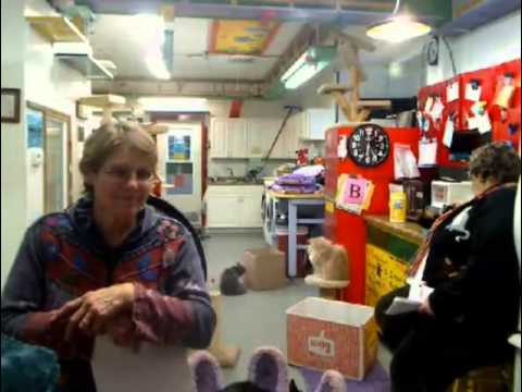 cage free vs organic eggs Boxes 2-2-2013
