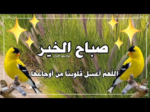 أسأل ألله أن يبارك لكم في حياتكم ويكتب لكم الخير ويوسع أرزاقكم