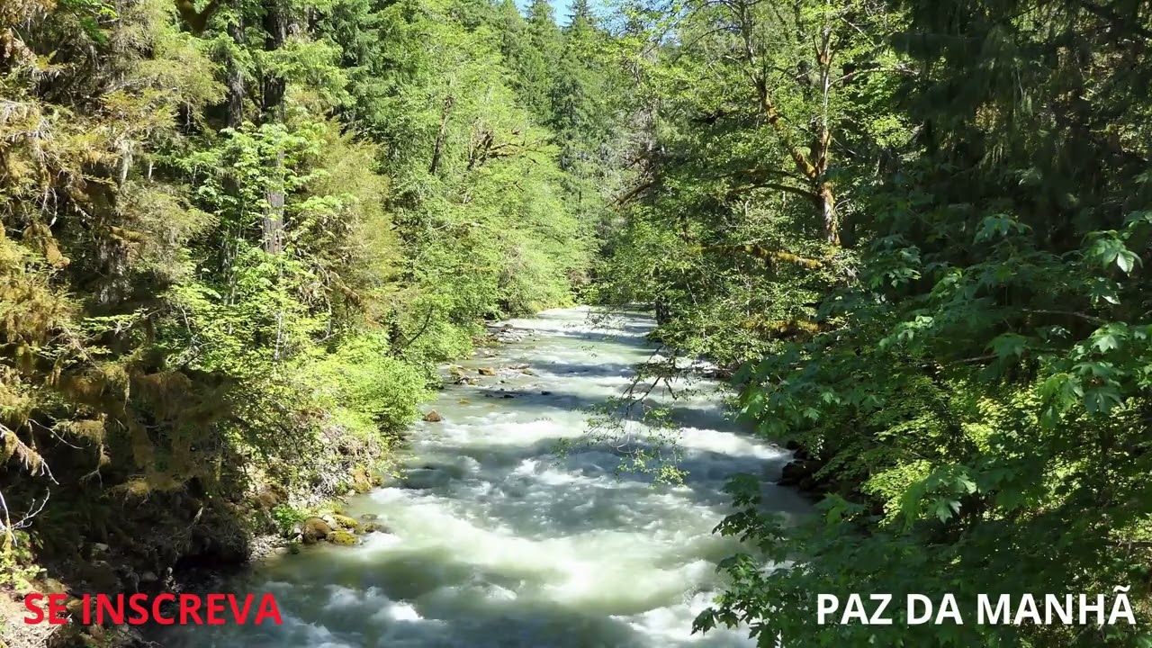 ORE E LOUVE #oraçãodamanhã #caminhoparaumavidamelhor