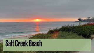 Top things to do and places to visit on in Orange County California 