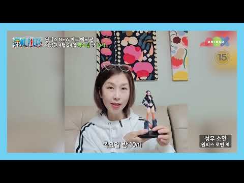 〈원피스〉 성우들의 깜짝 축하 영상_24일(목) 밤 10시 애니박스