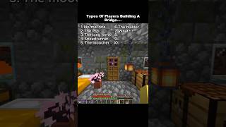 Types of players building a bridge
