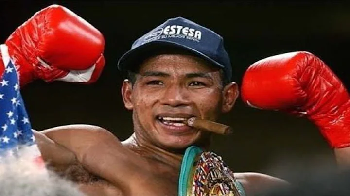 Ricardo Mayorga - Highlights / Knockouts