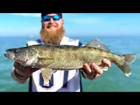Legendary WALLEYE Captain Teaches Us HOW TO LIMIT (Lake Erie)
