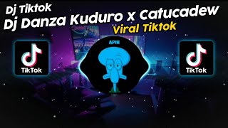 DJ DANZA KUDURO x CATUCADEW DJ DANVATA VIRAL TIK TOK TERBARU 2024!!