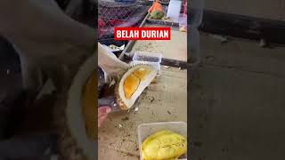 BELAH DURIAN,DURIAN SUPER #fruits #foryou #shortvideo #1millionviews #youtubeshorts #video #durian
