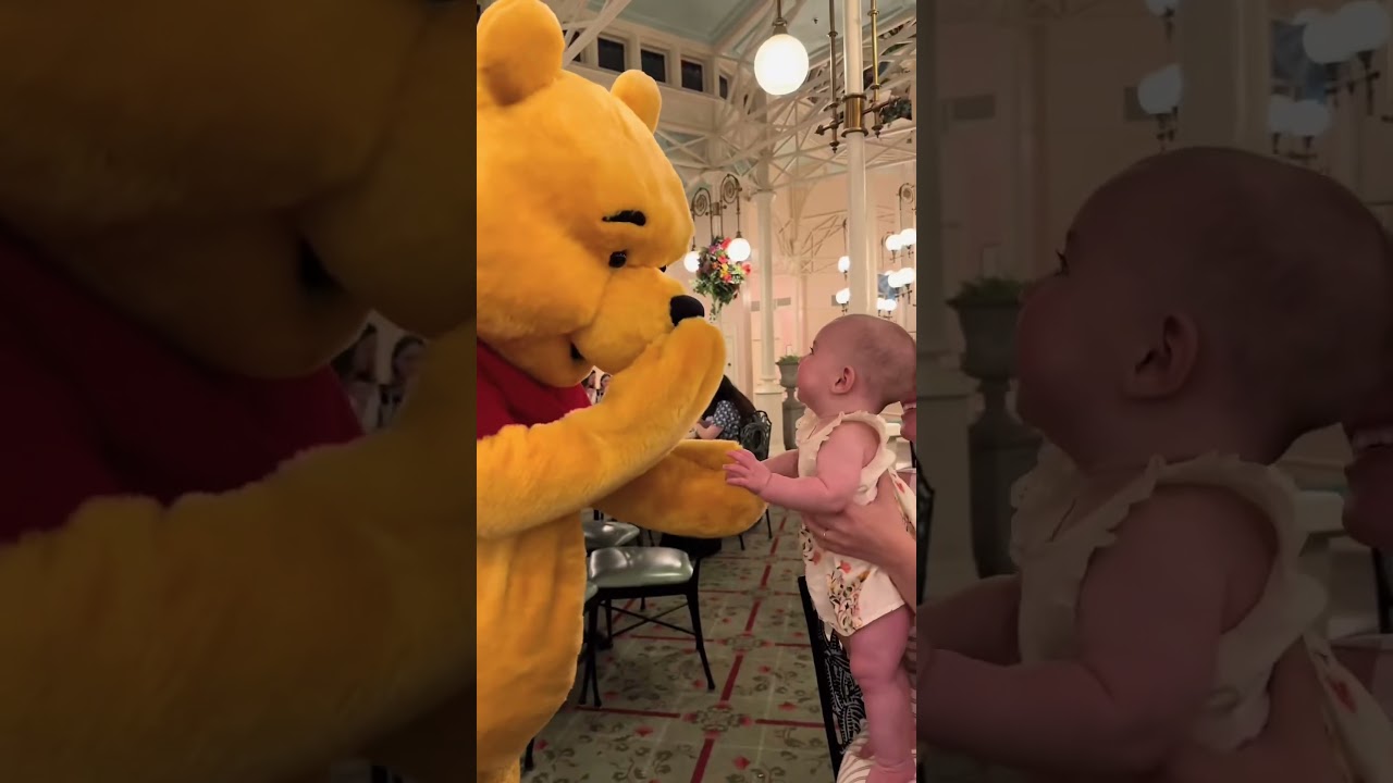 Disney Winnie the pooh