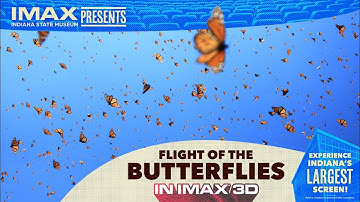 Flight of the Butterflies 3D | Official Trailer