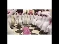 شيلة بني هاجر طرب ابن مرهج اداء الجفراني