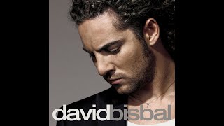 🎵 David Bisbal – Nada cambiará mi amor por ti