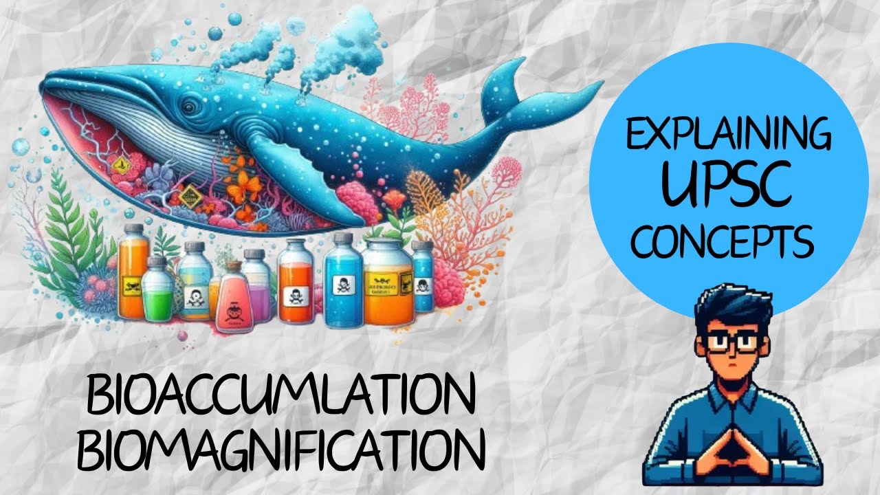 UPSC CSE with Animations - Bioaccumulation and Biomagnification  Environment and Ecology