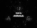 Top 5 Animals #goat #deer #dog #wolf
