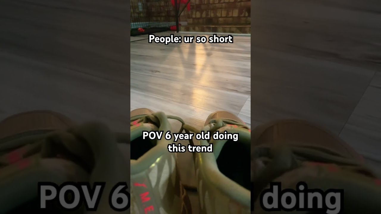 POV 6 Year Old Doing This Trend Helpmemakethismakesense Therian Funny Relatable Shorts