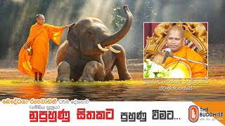 Ven Aluthgama Pannasara Thero | 2020-12-13 | 04.00 PM (නුපුහුණු සිතකට පුහුණු වීමට) මේඝිය සූත්‍රය