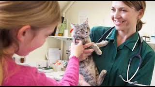 Happy Cat, Happy Vet Visit - Tips to Prepare Your Cat For Vet Visits! by Keeping Pet 200 views 9 months ago 6 minutes, 2 seconds