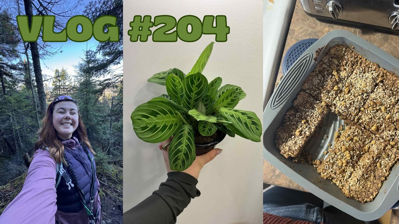 VLOG #204 - Meal prep, une rando en solo & nouvelle plante