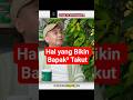 bener gak ni bapak²?