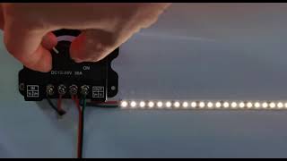 Single Color LED Dimmer  with LED Strip Lights - Smart Bright LEDs
