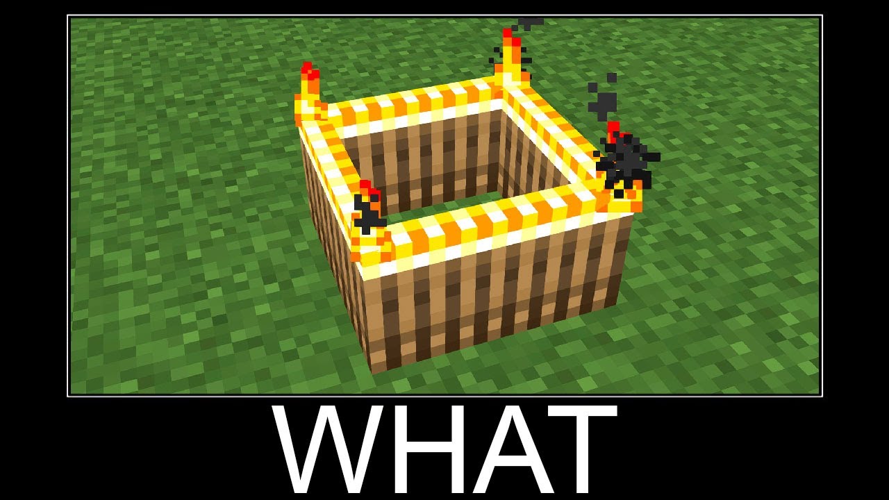 Minecraft WAIT WHAT meme #77 - YouTube