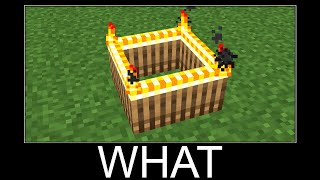 Minecraft WAIT WHAT meme #77 Wealth