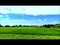 Walking acoss the overgrown land 走過荒蕪-2019