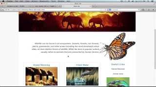 PHP MYSQL TUTORIAL PART 1