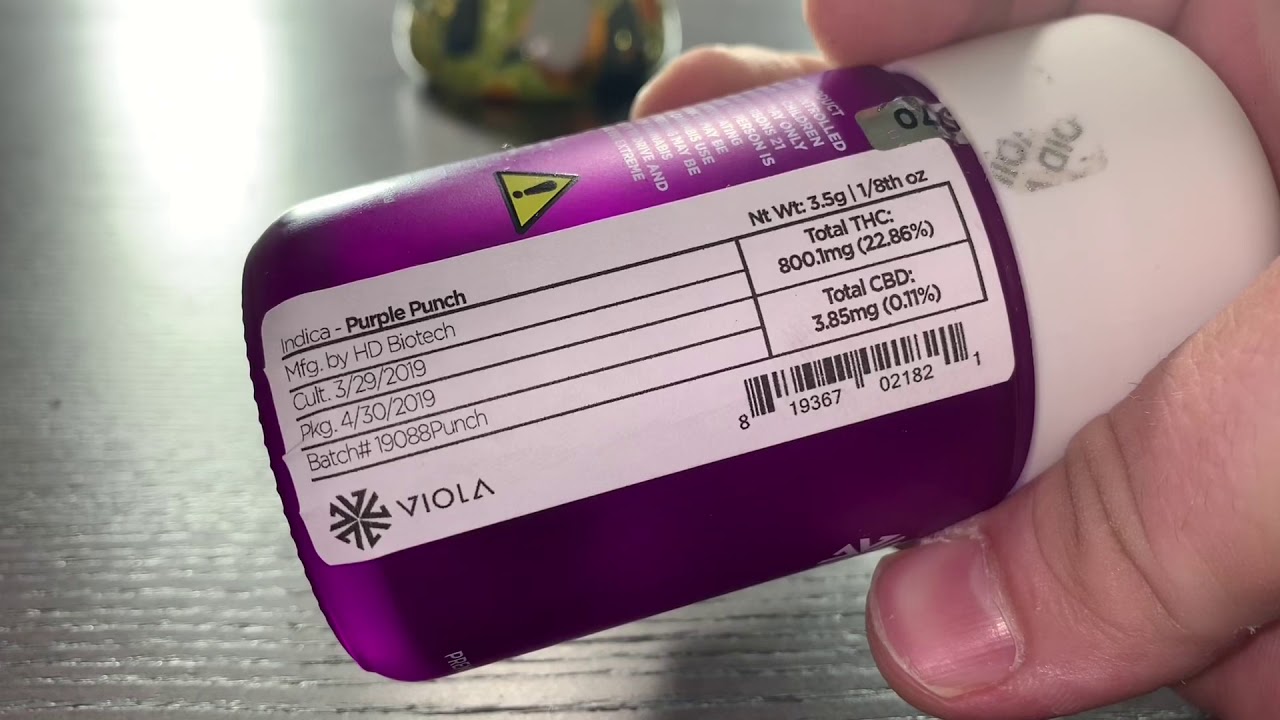 Exclusive Care Strain Review “Purple Punch” by VIOLA