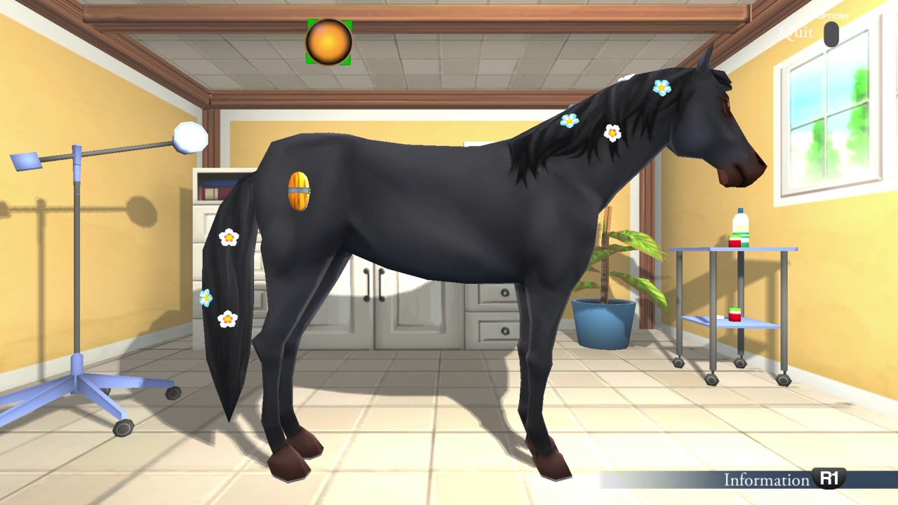 My Riding Stables Life with Horses (PS4) FAQ Part 1 Tutorial YouTube