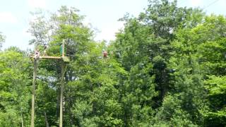 New Zip Lines At Funspot Monkey Trunks